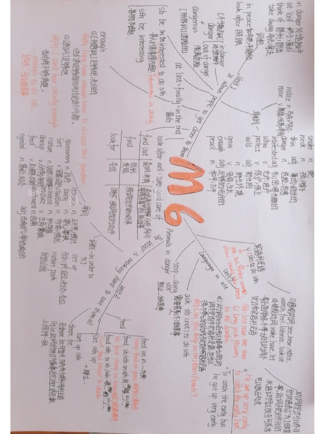 八年级上册m1思维导图图片