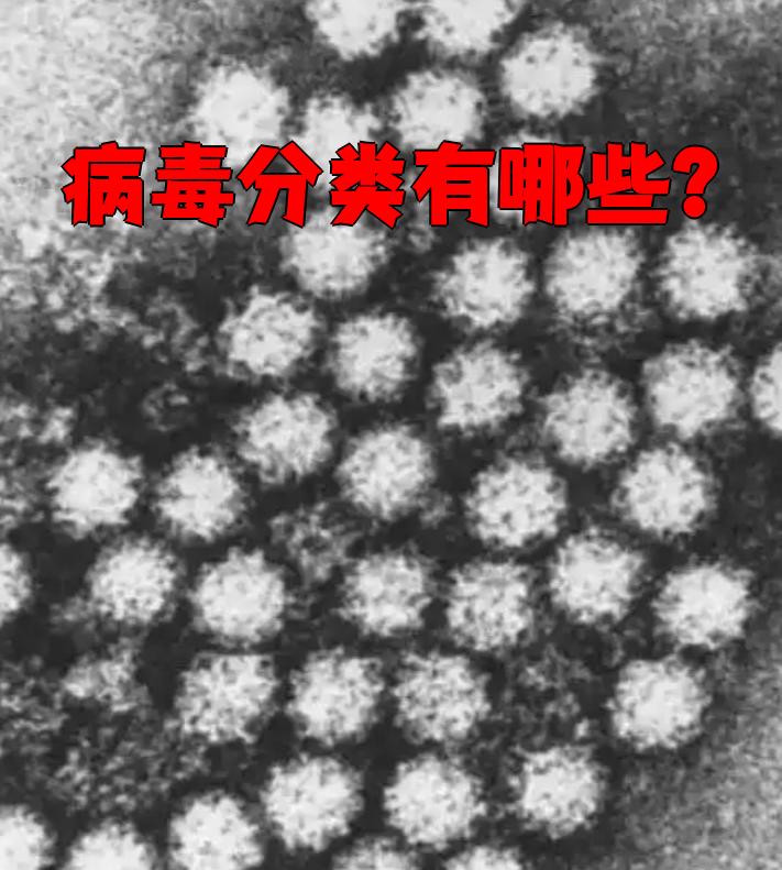  现在流行的疾病是啥病毒(现在什么病毒出现了)