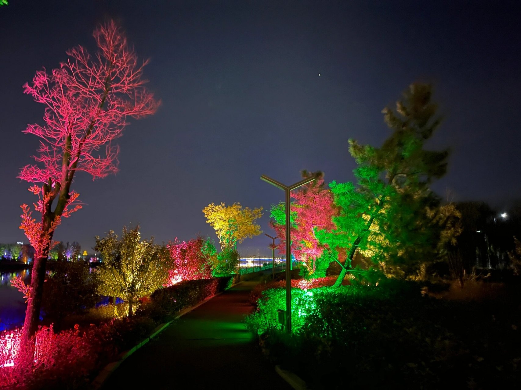 东营明月湖国家湿地公园 享受最美赛道 成功9515成功96加油吧