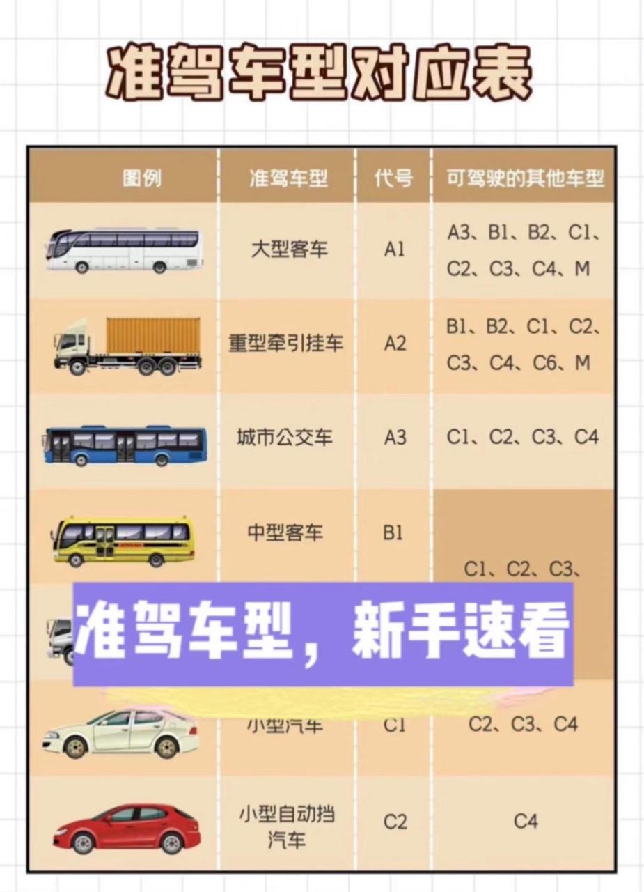 b1驾照可以开什么车,准驾车型,新手速看.
