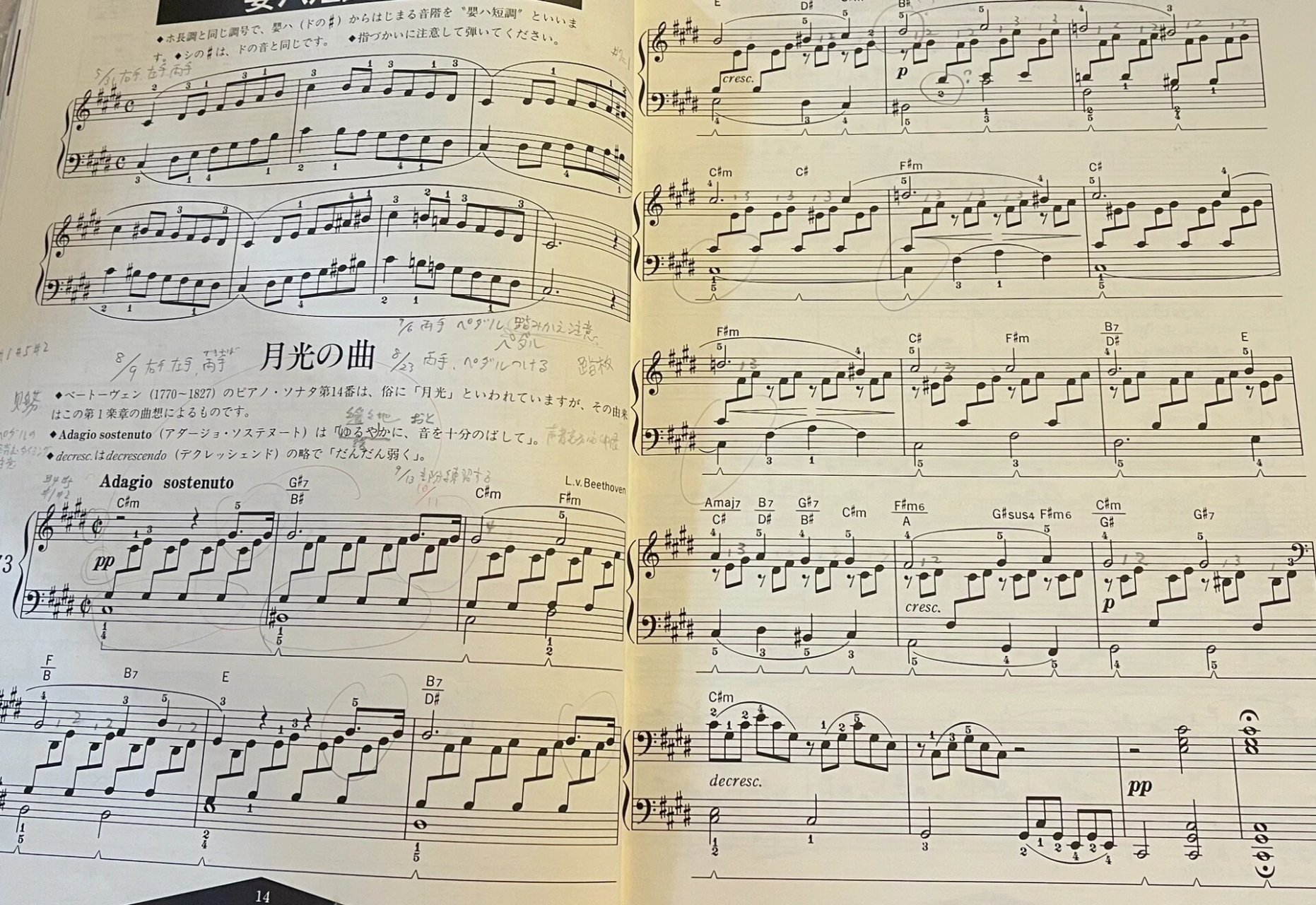 简版钢琴谱《月光曲》-贝多芬