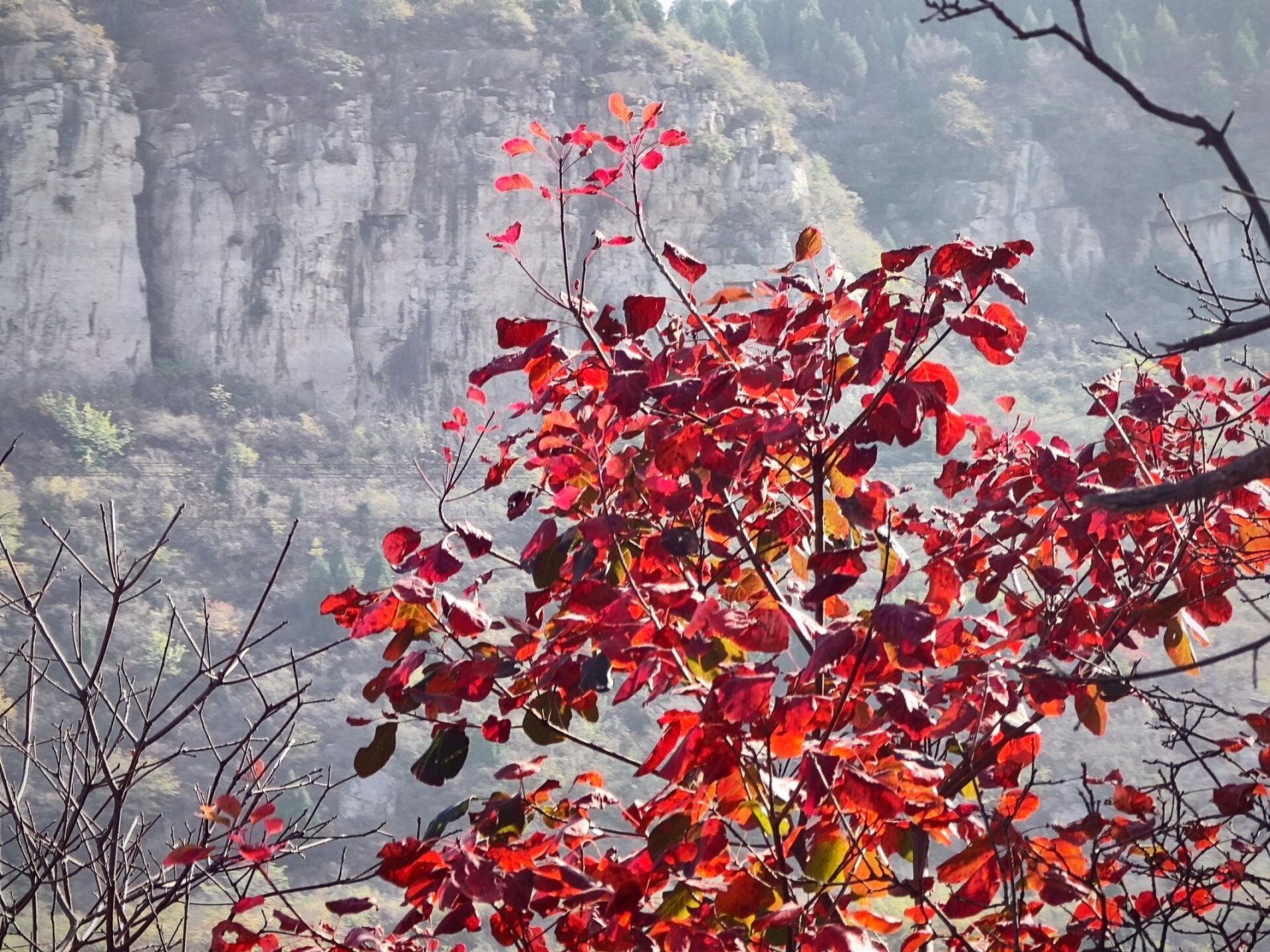 秋日登山| 济南太甲山7215 导航:太甲山公墓 看到公共厕所后,从
