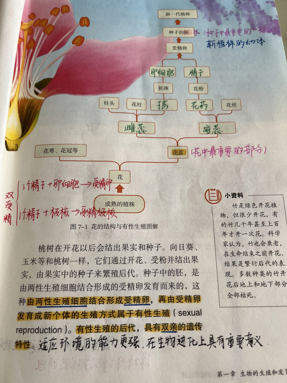 人教版初中生物 八下 植物的生殖 #生物科学# #手写笔记# #初中生物