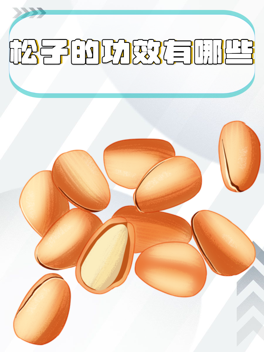 一文便知  松子,属于松科植物的种子,是一种常见的坚果