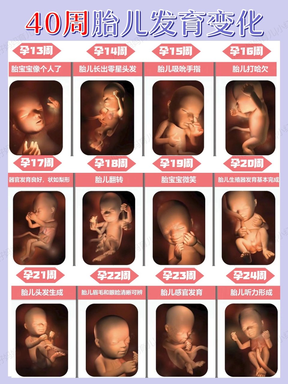怀孕1-40周完整详细的胎儿发育过程图 各位准妈妈对怀孕1周到40周全