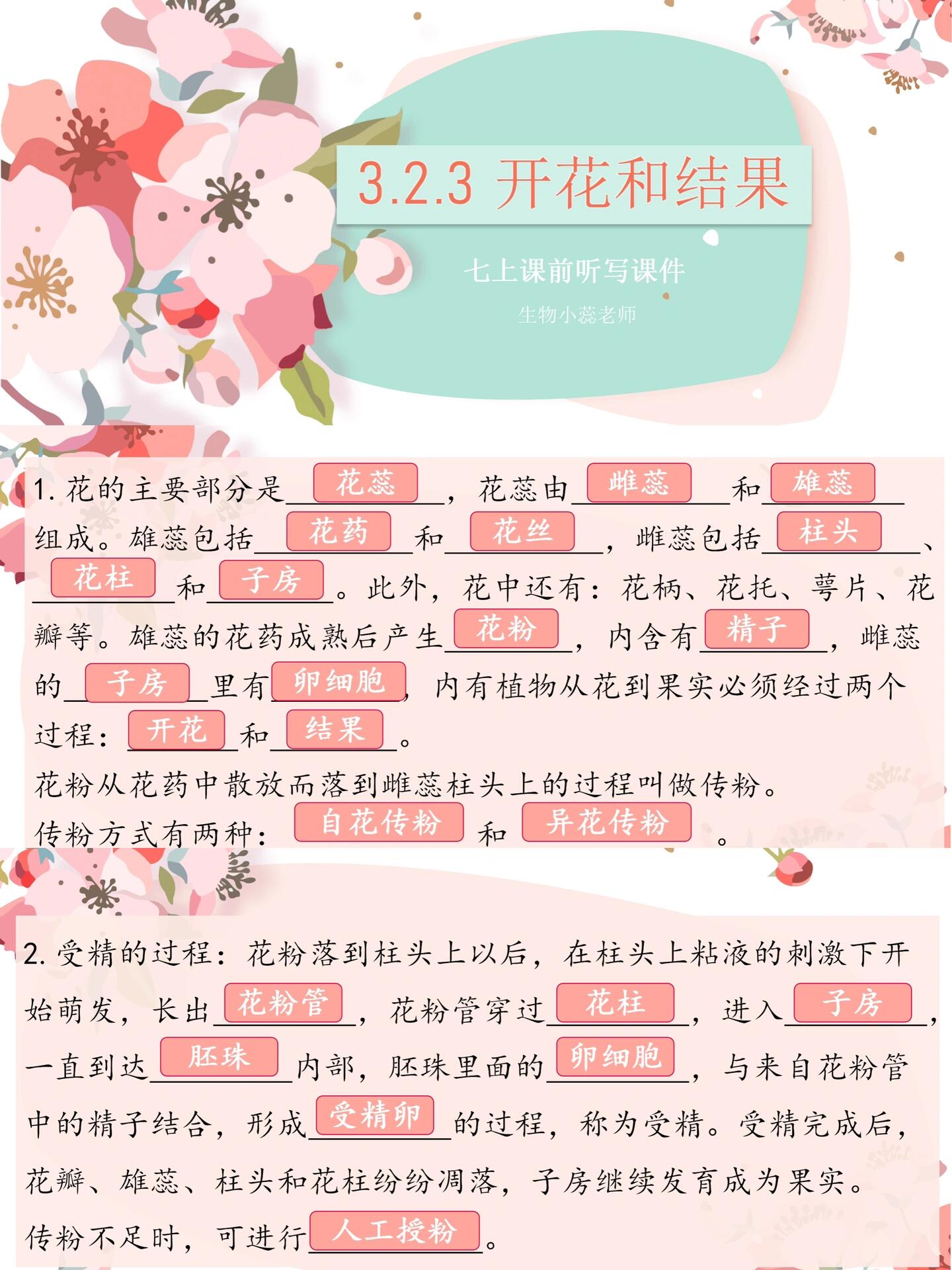 一天中各种花开的时间图片