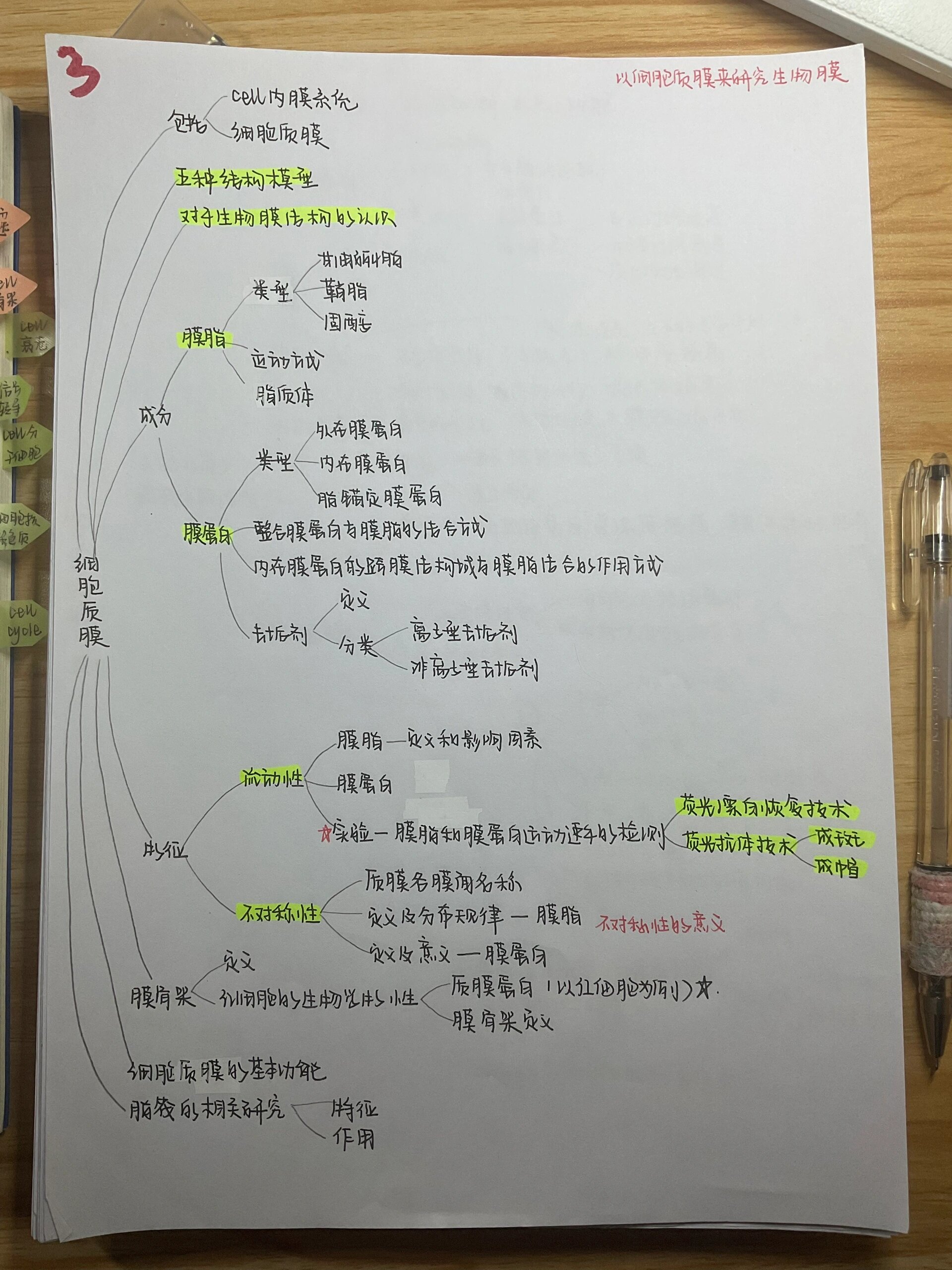 细胞生物学 思维导图 第三章细胞质膜