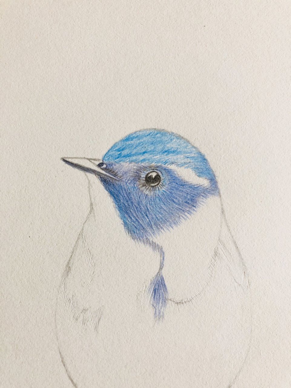 编号306(原创) a3素描纸 辉柏嘉48色水溶性红盒彩铅,所用色号499,451