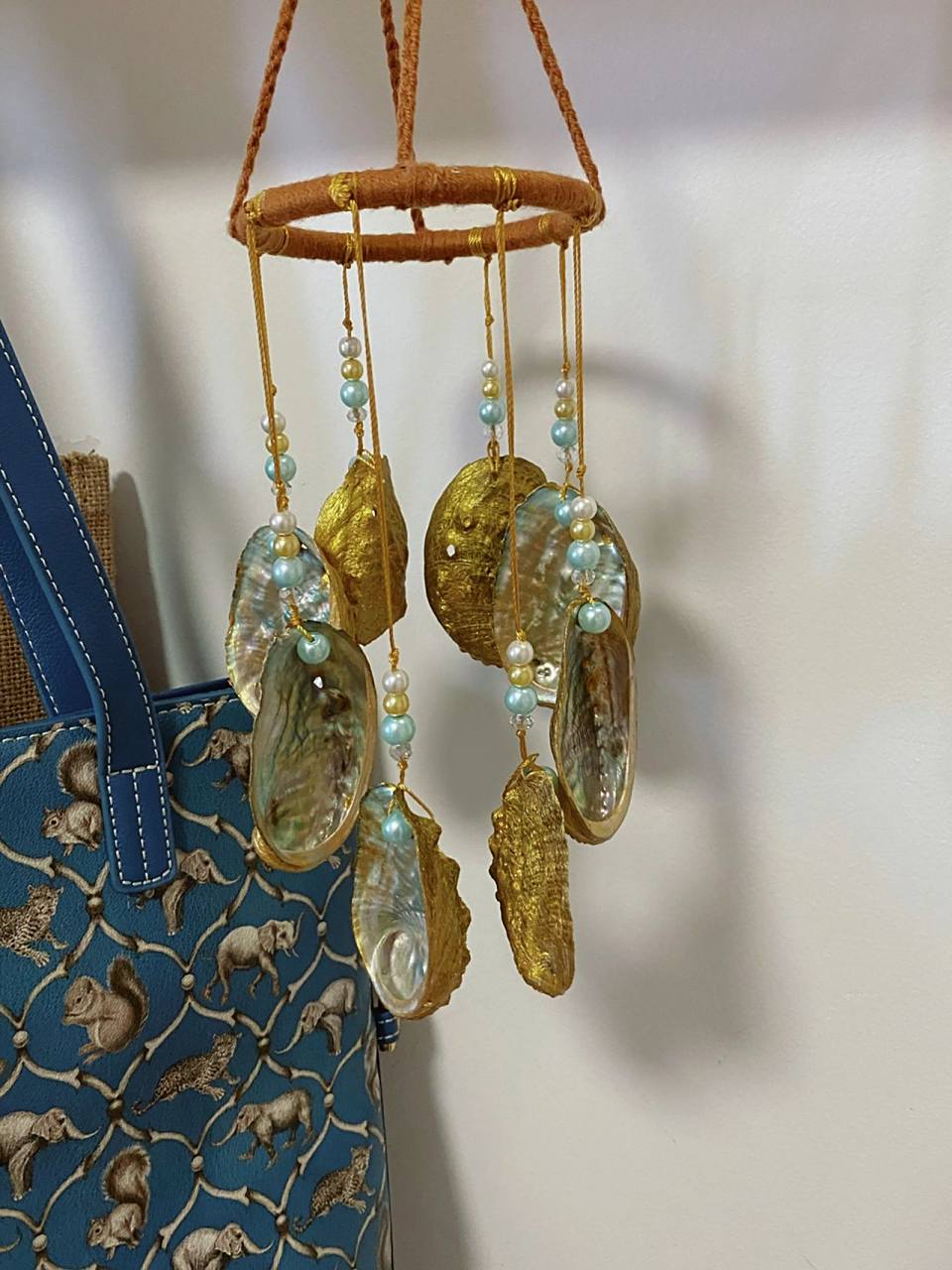 废物改造:鲍鱼壳风铃,炫一个(含教程) 实际上,这是去年的鲍鱼壳舍不得