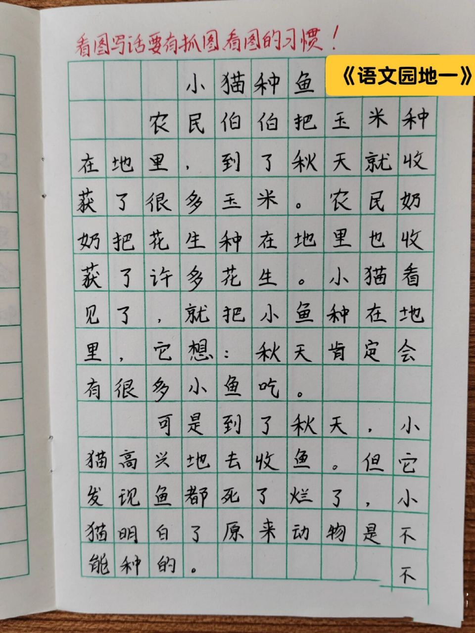 一年级语文下册《小猫种鱼》看图写话7199 看图写话要有抓图看图