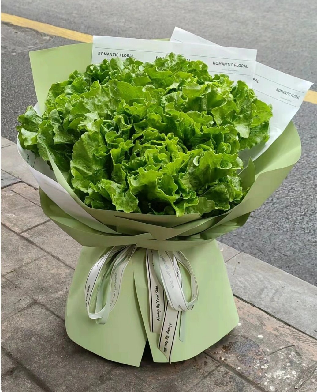 香菜花束寓意着"发财啦"06