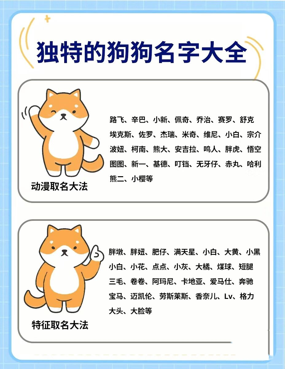 狗狗叫什么名字好听图片