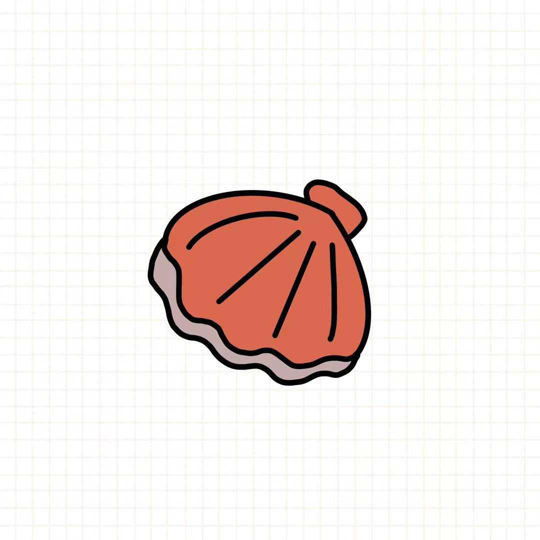 简笔画教程,贝壳