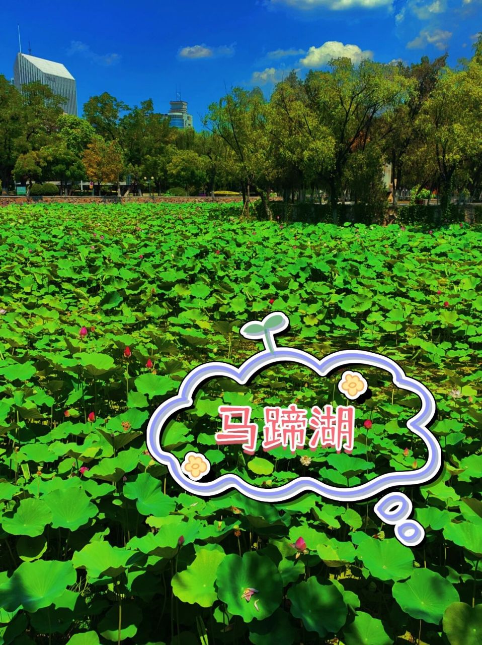 南开大学景点攻略 tip1:马蹄湖 从学校东门进入,沿着校园的主干线大