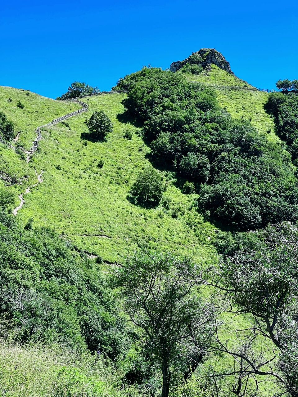 北灵山徒步|北京最美高山草甸绿了 夏天来了,北灵山的高山草甸又绿了
