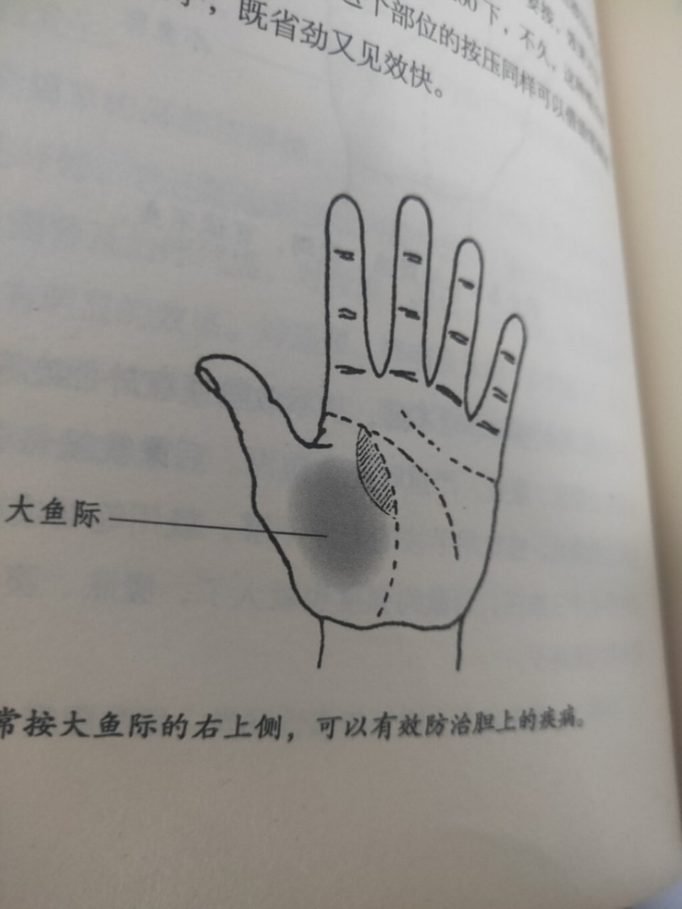 绿色养生小知识(第二篇) 🎊图1⃣～按揉大鱼际上面右侧部治慢性胆