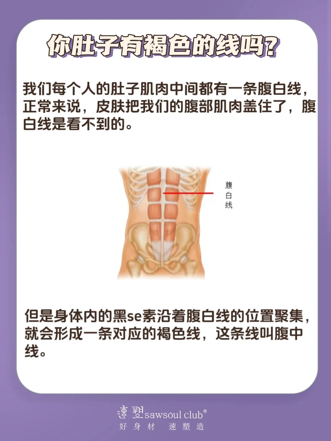 腹白线图片怀孕图片