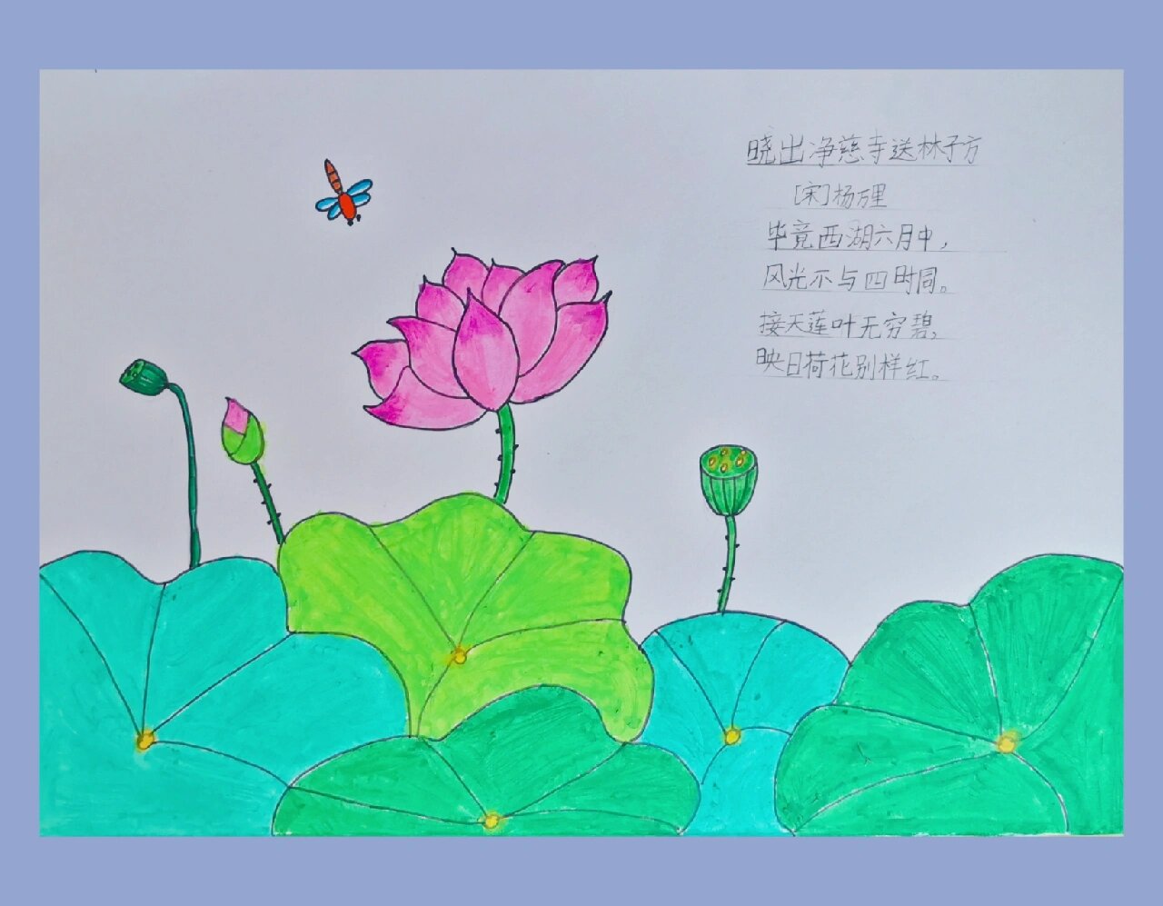 古诗配图《映日荷花别样红》