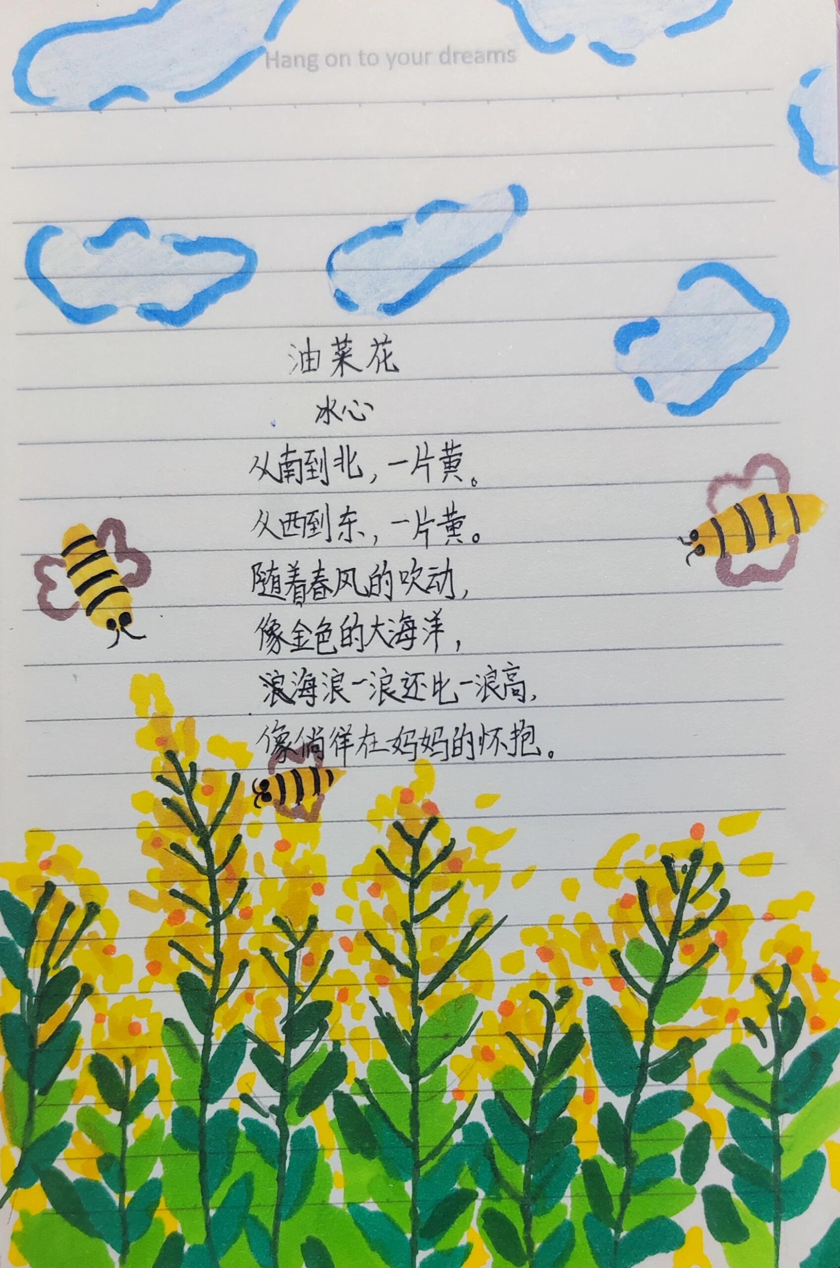 油菜花作者是谁图片