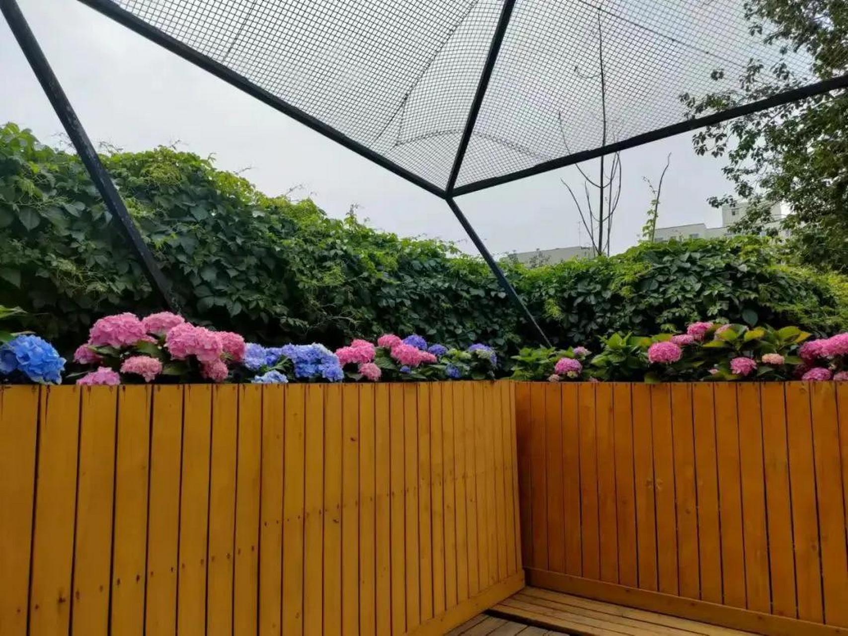 嗨,在北京西城手帕社区有个"25℃会客厅",那里花香四溢,邻里关系和睦.