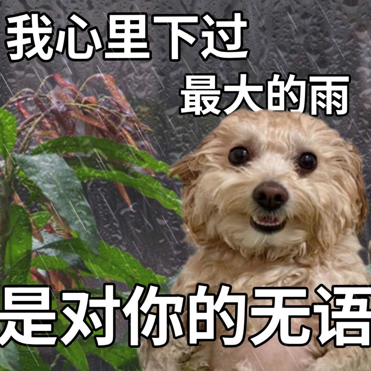表情包|说话是门艺术,于是我三过家门而不入 跟乐于"惹人生气"的人