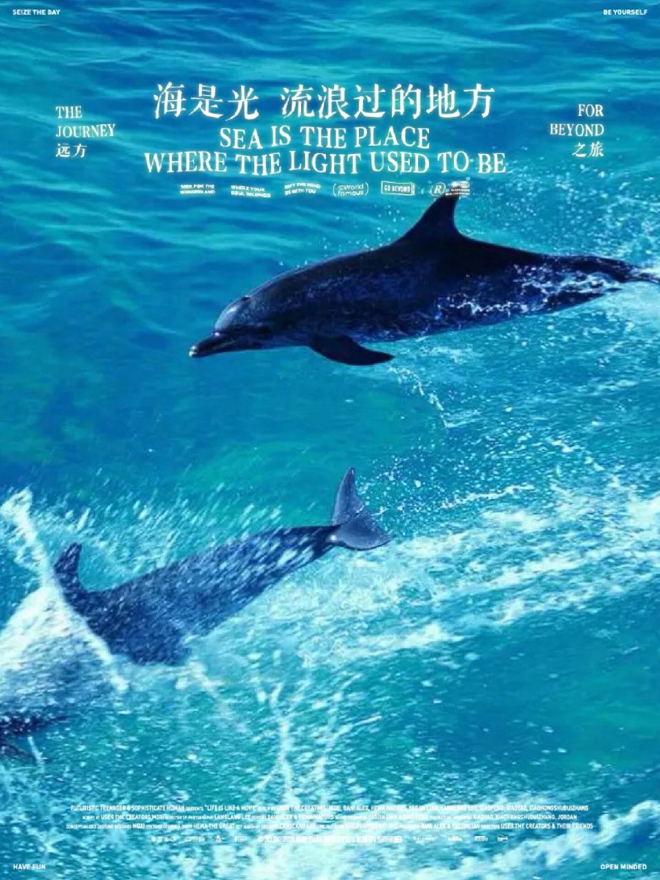 蓝色的海豚岛ppt图片图片