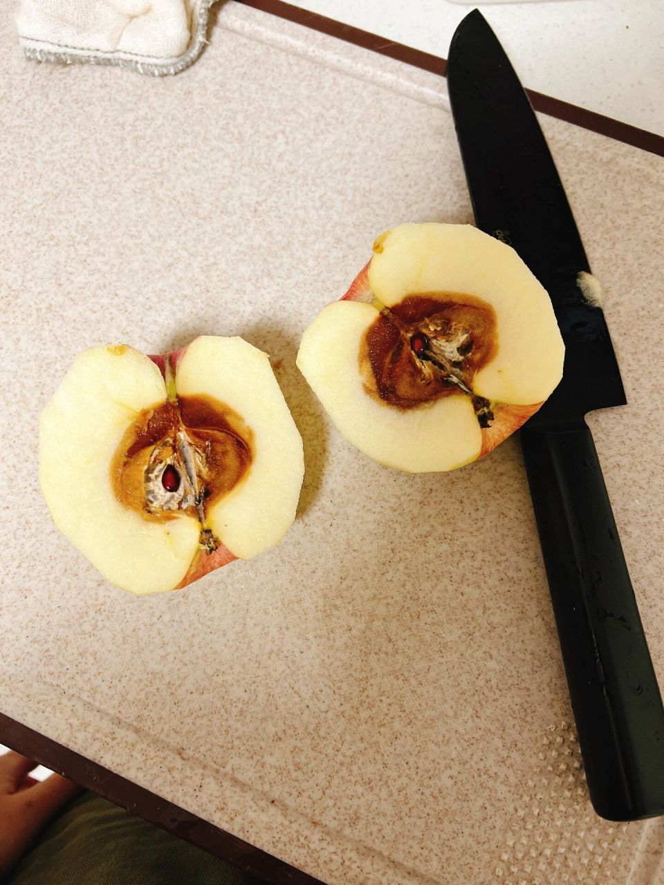 外面好的,心是烂的!