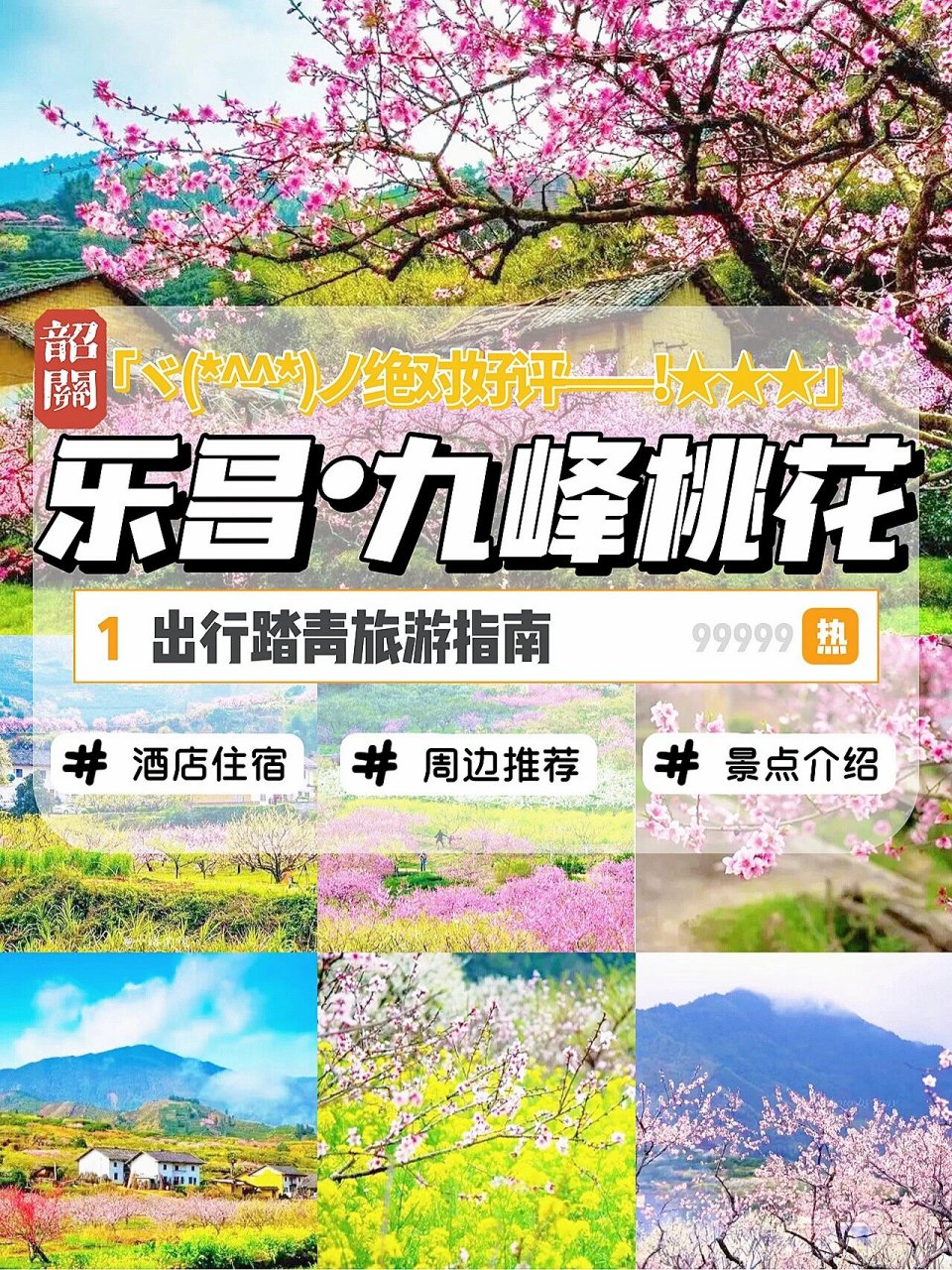 2022乐昌九峰桃花节图片