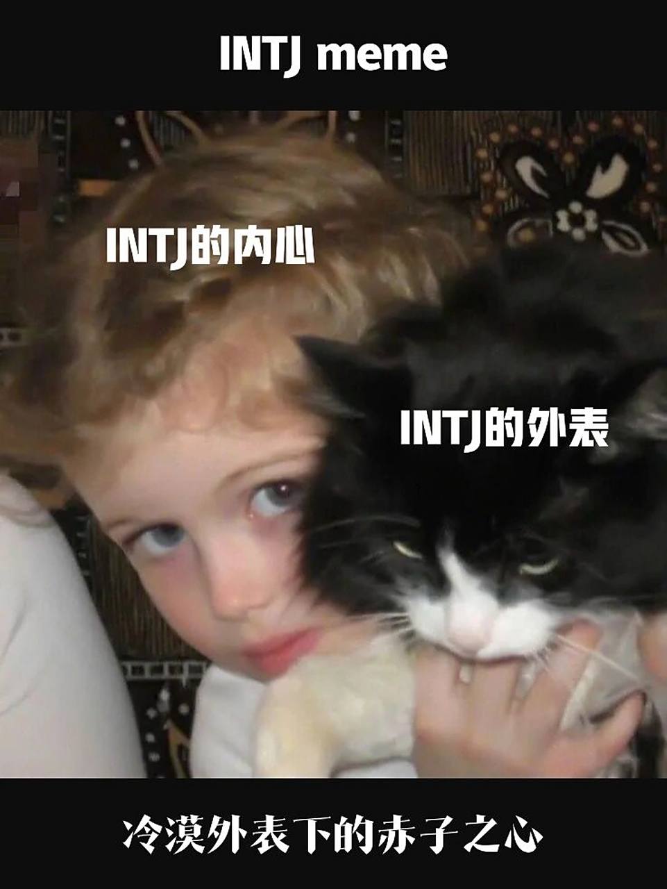 intj的爱无法从言语表情感知到,表达和情绪价值对他们而言是种负累和
