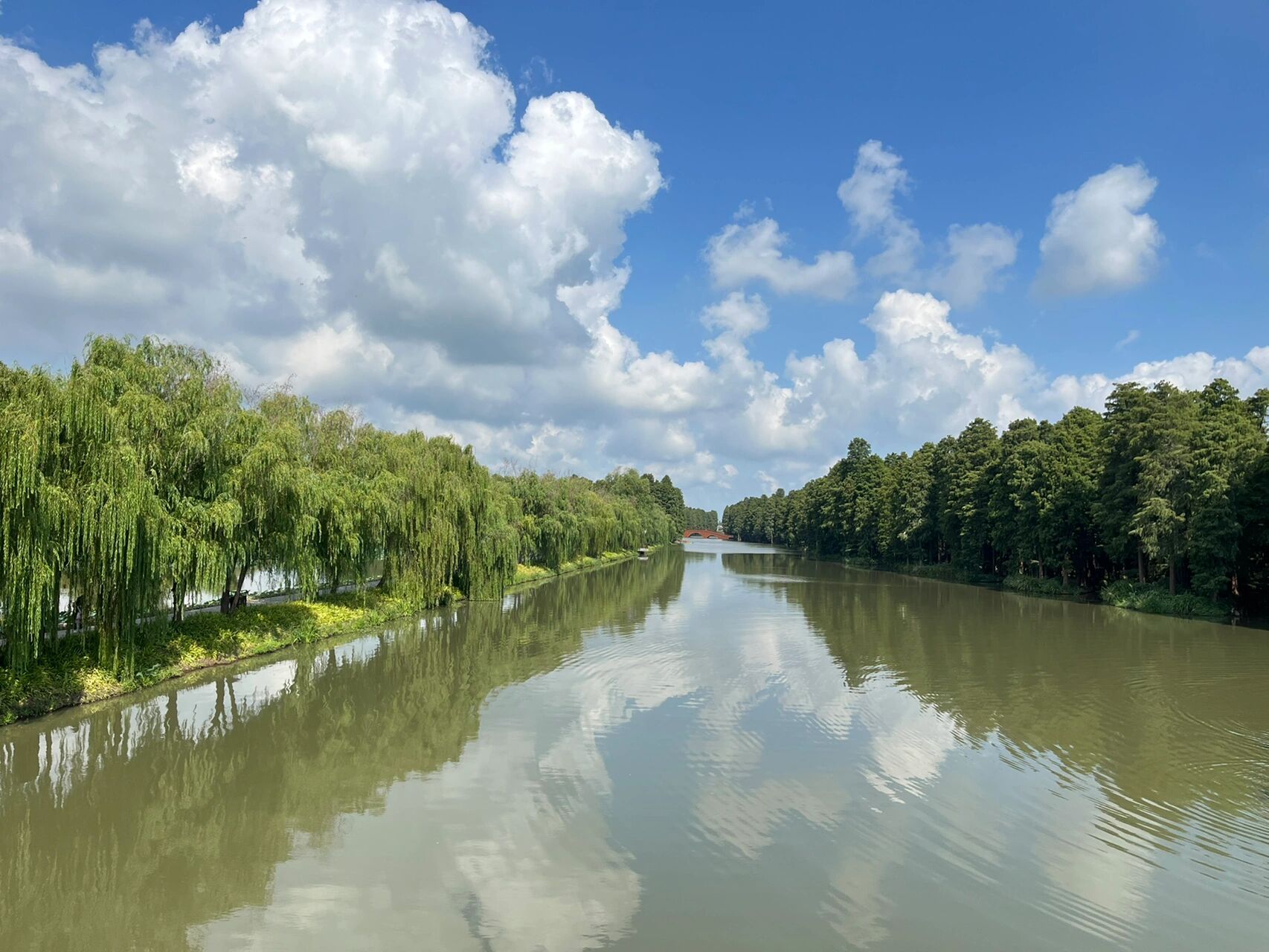 里下河国家湿地公园 原名"李中水上森林",位于兴化市李中镇.