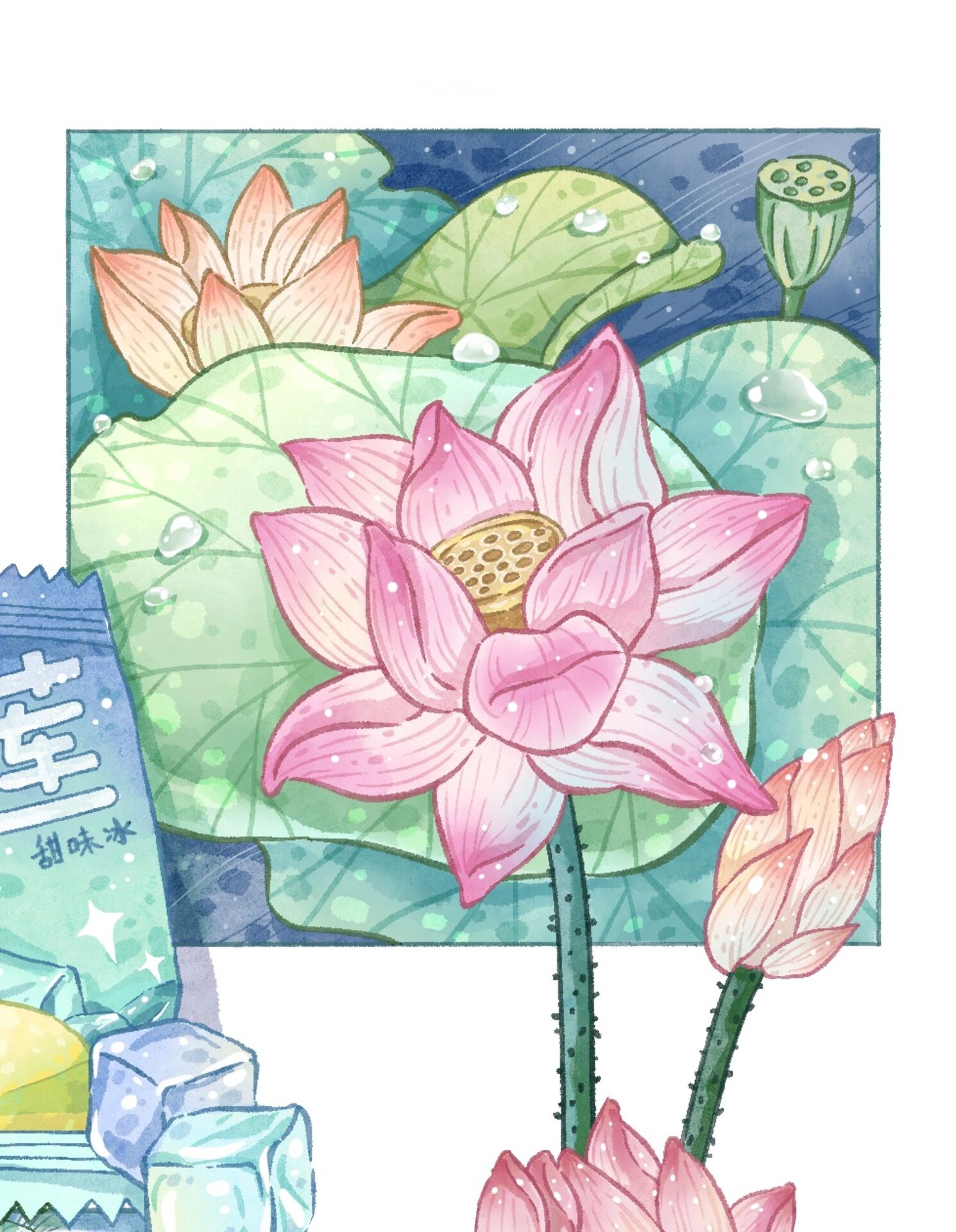 插画—24节气:大暑03