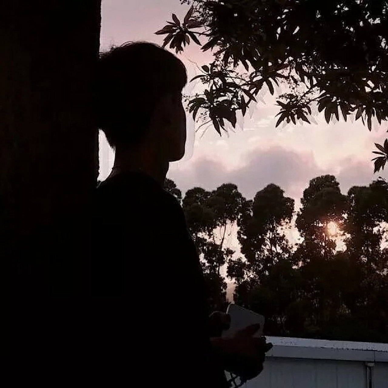 男生低调背影头像 积极向上的心态总会给你带来好运