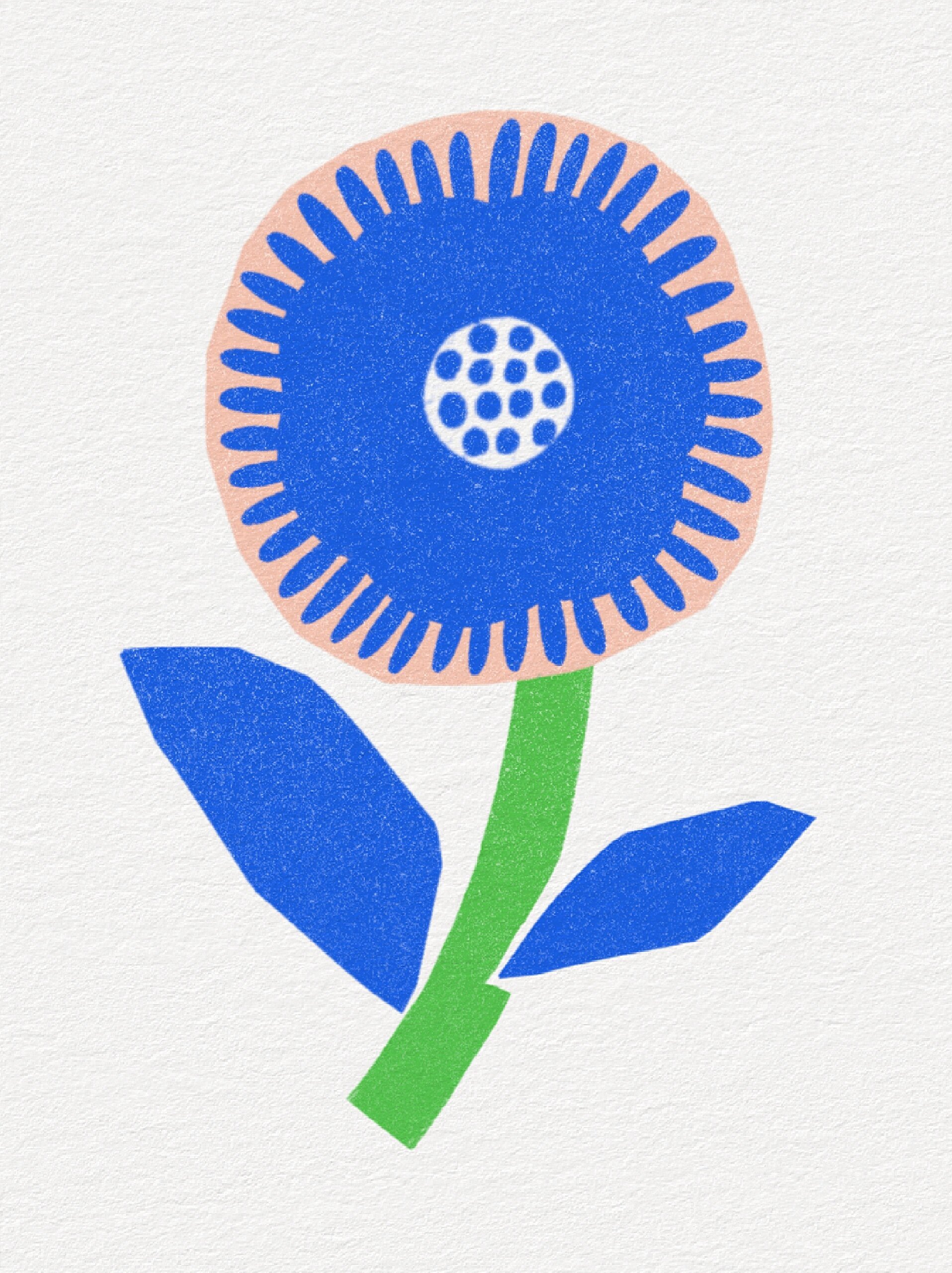 966款简约扁平花卉插画94每朵都有态度 花花又来啦 好喜欢这种简