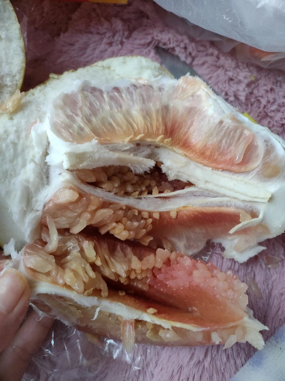 这柚子是坏了嘛 还是说它就长这样02 头一次花钱买到这么难吃的柚子