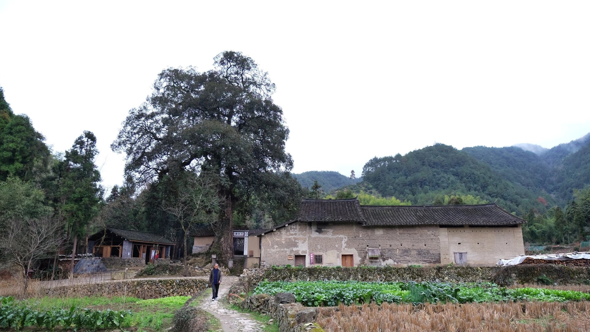 泰顺徐岙底古村落图片