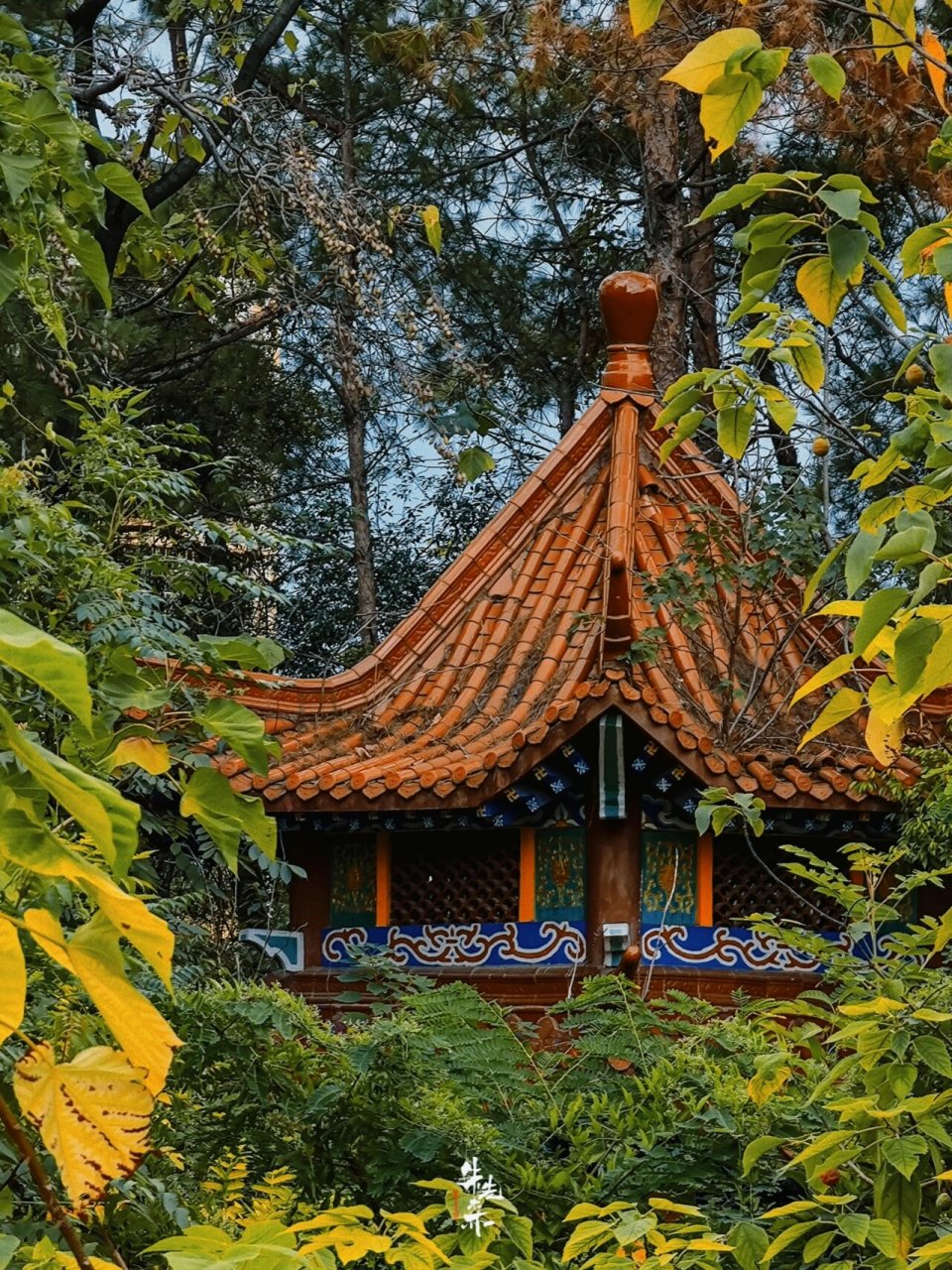 南康|东山公园 我去找你,比我爱你更有意义.