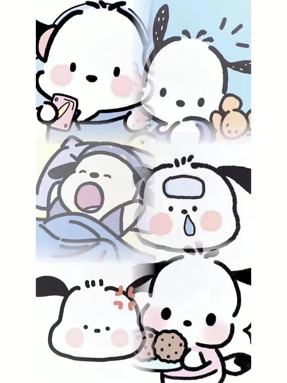 帕恰狗壁纸 拿图自觉点赞,关注也行,不容易啊