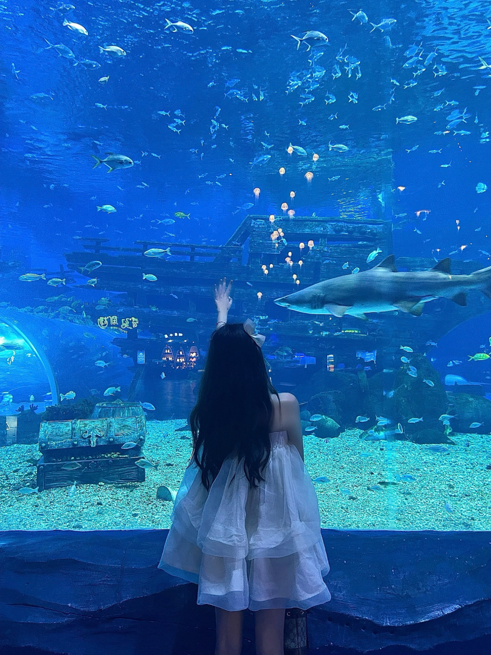 无锡必打卡的海洋馆95不允许有人还没去过6015 海洋馆里有什么