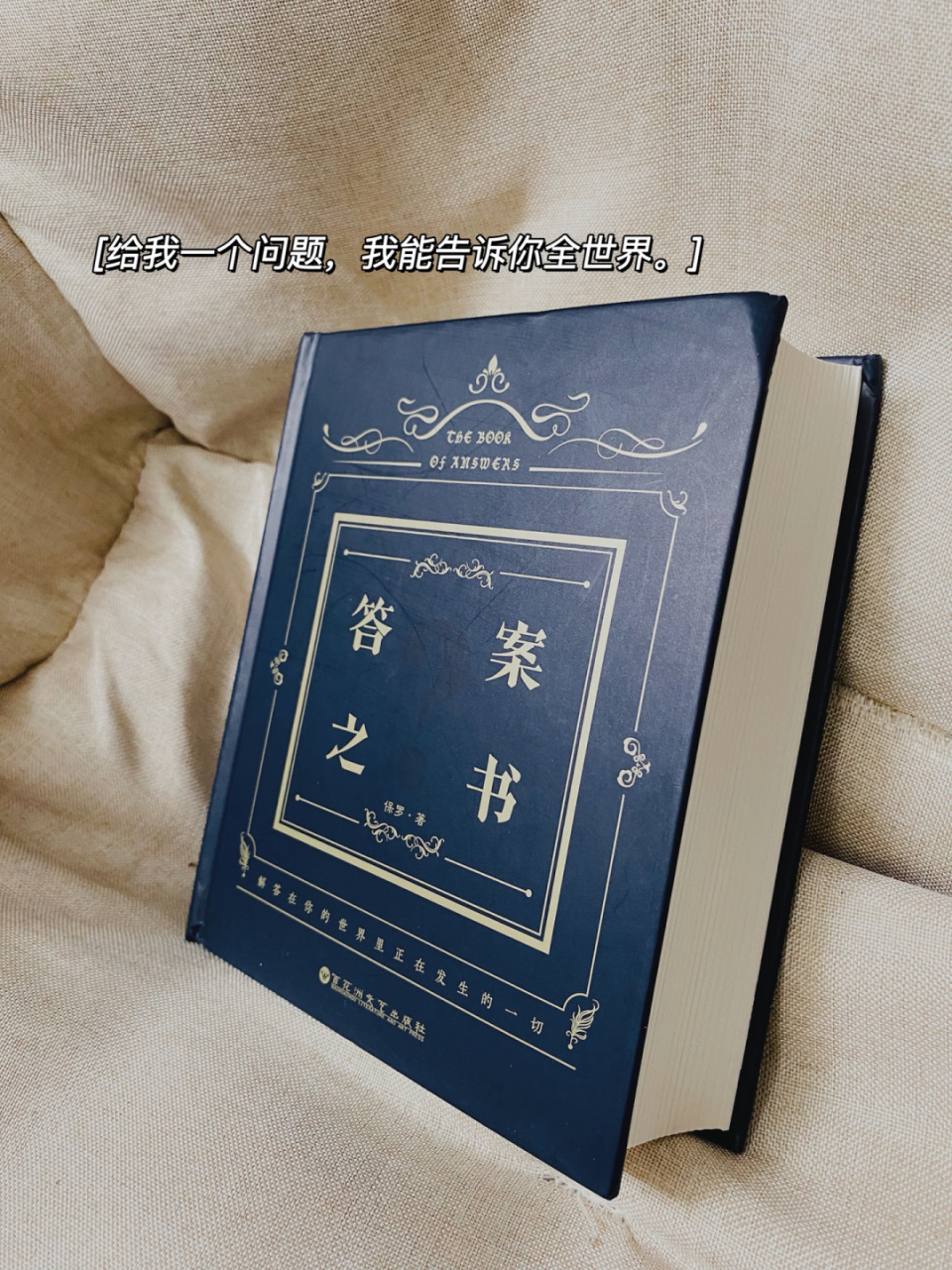 给我一个问题,我能告诉你全世界 95《答案之书》 - 97忙碌的生活