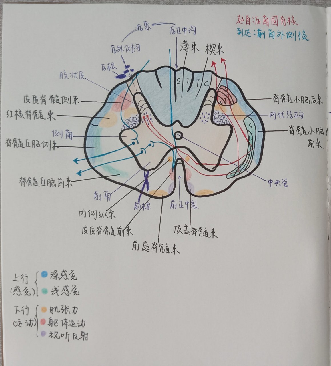 横断面图怎么画手绘图片