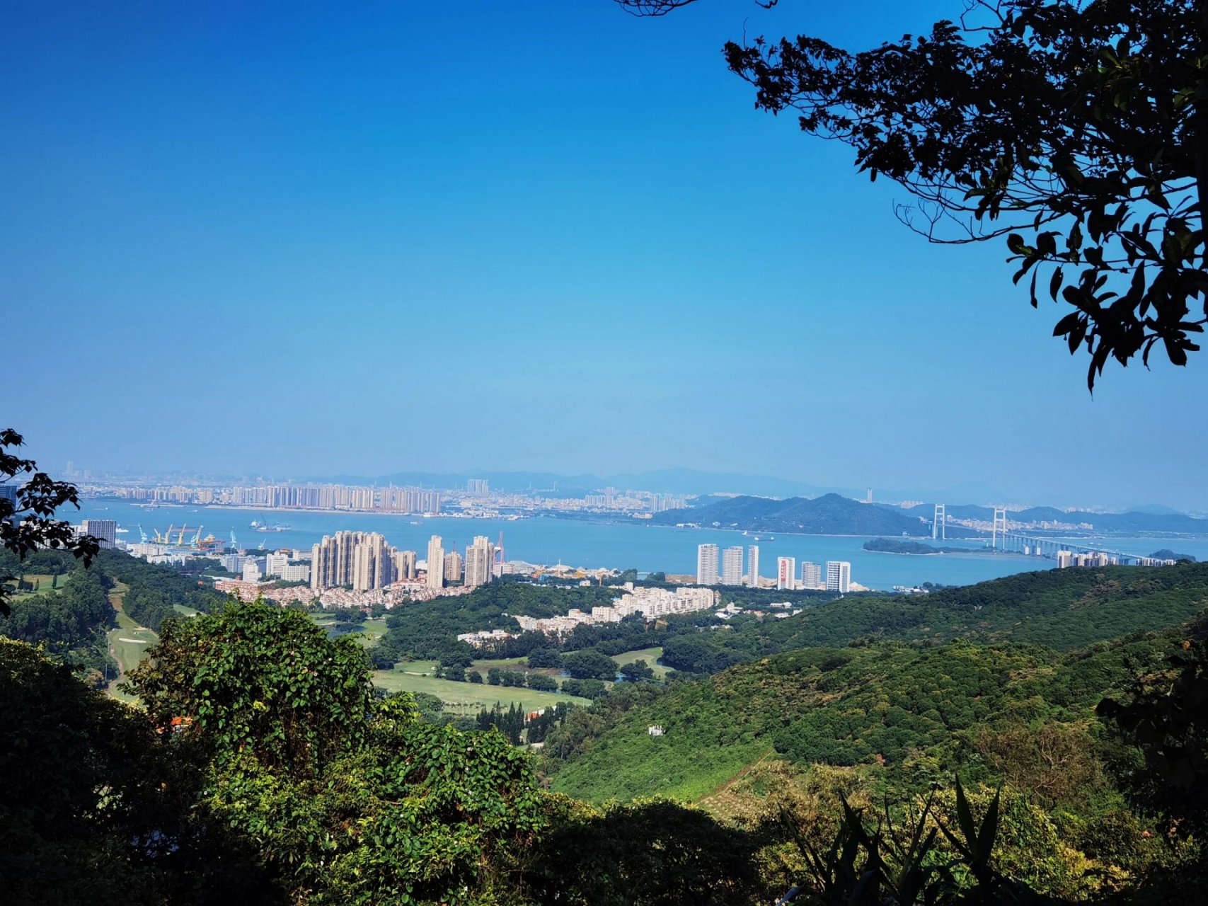 黄山鲁森林公园  南沙区中心天然氧吧!强烈推荐!适合徒步健身!