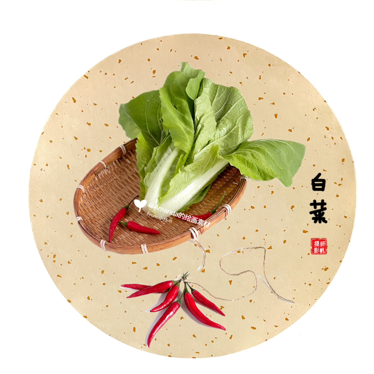 绘画素材:白菜 国画风(百财图)