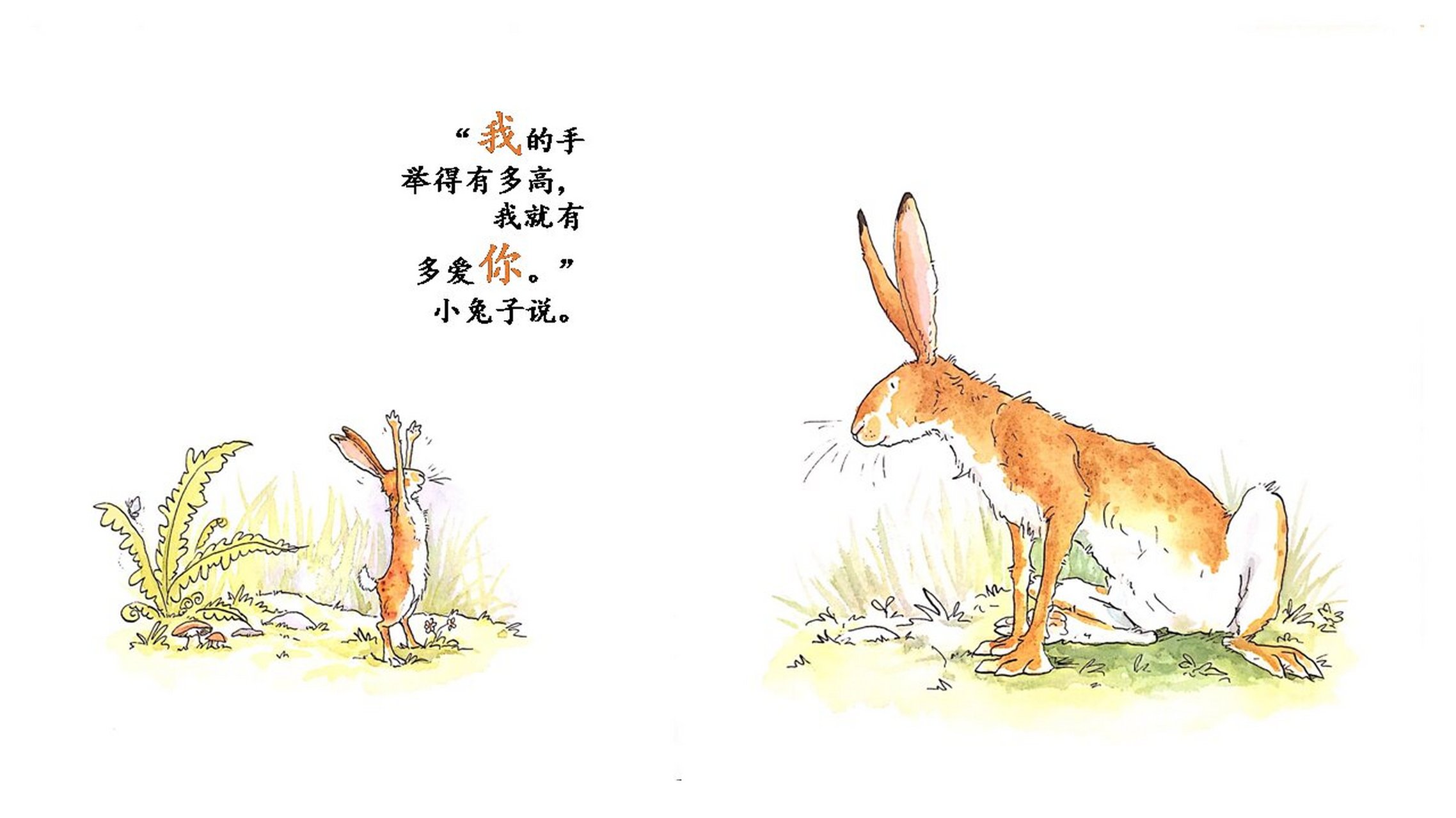 《猜猜我有多爱你》绘本电子版ppt课件课程 一.