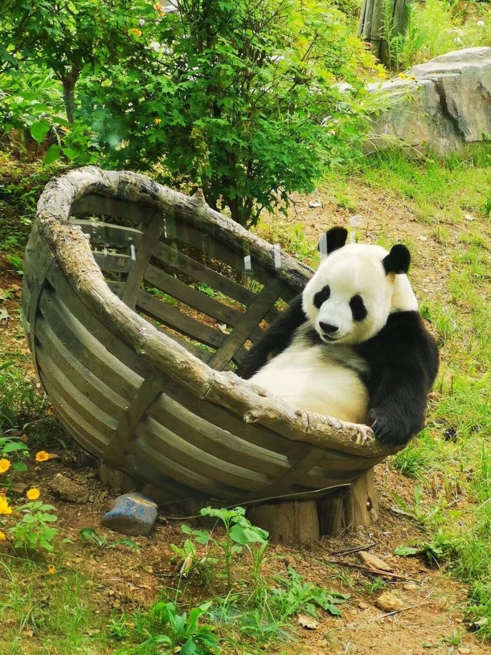 99大连森林动物园景区门票血攻略 96夏季来啦!