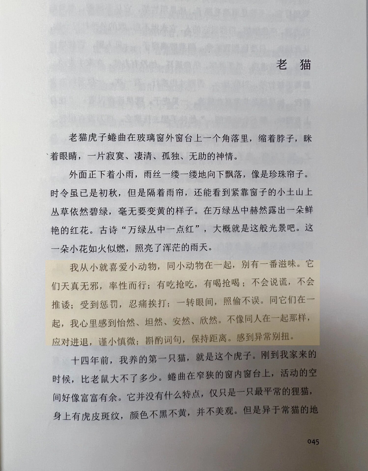 季羡林 老猫