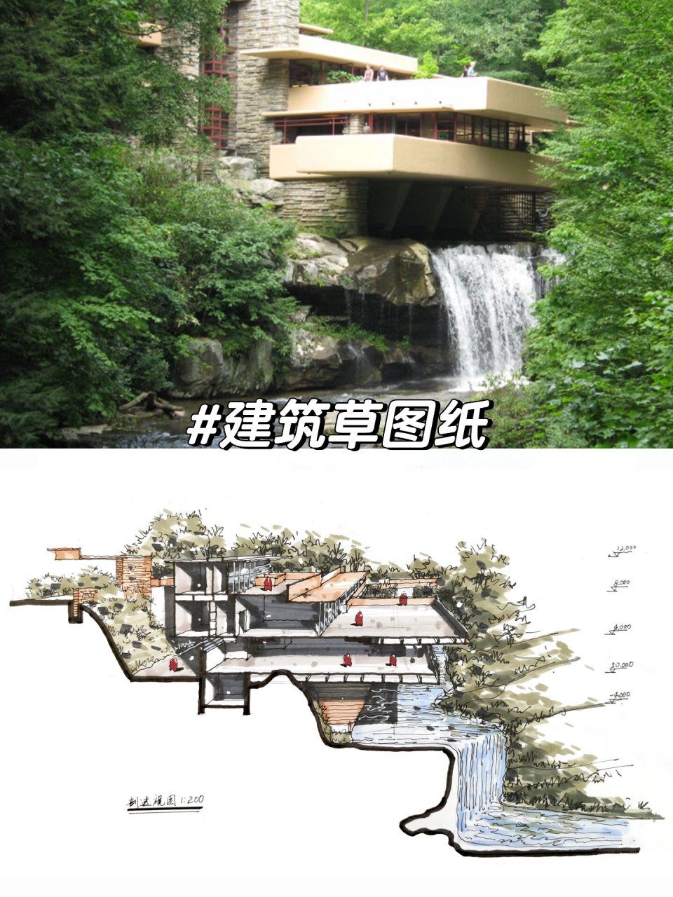 井间の高屋:赖特经典流水别墅手绘建筑剖视图 97流水别墅