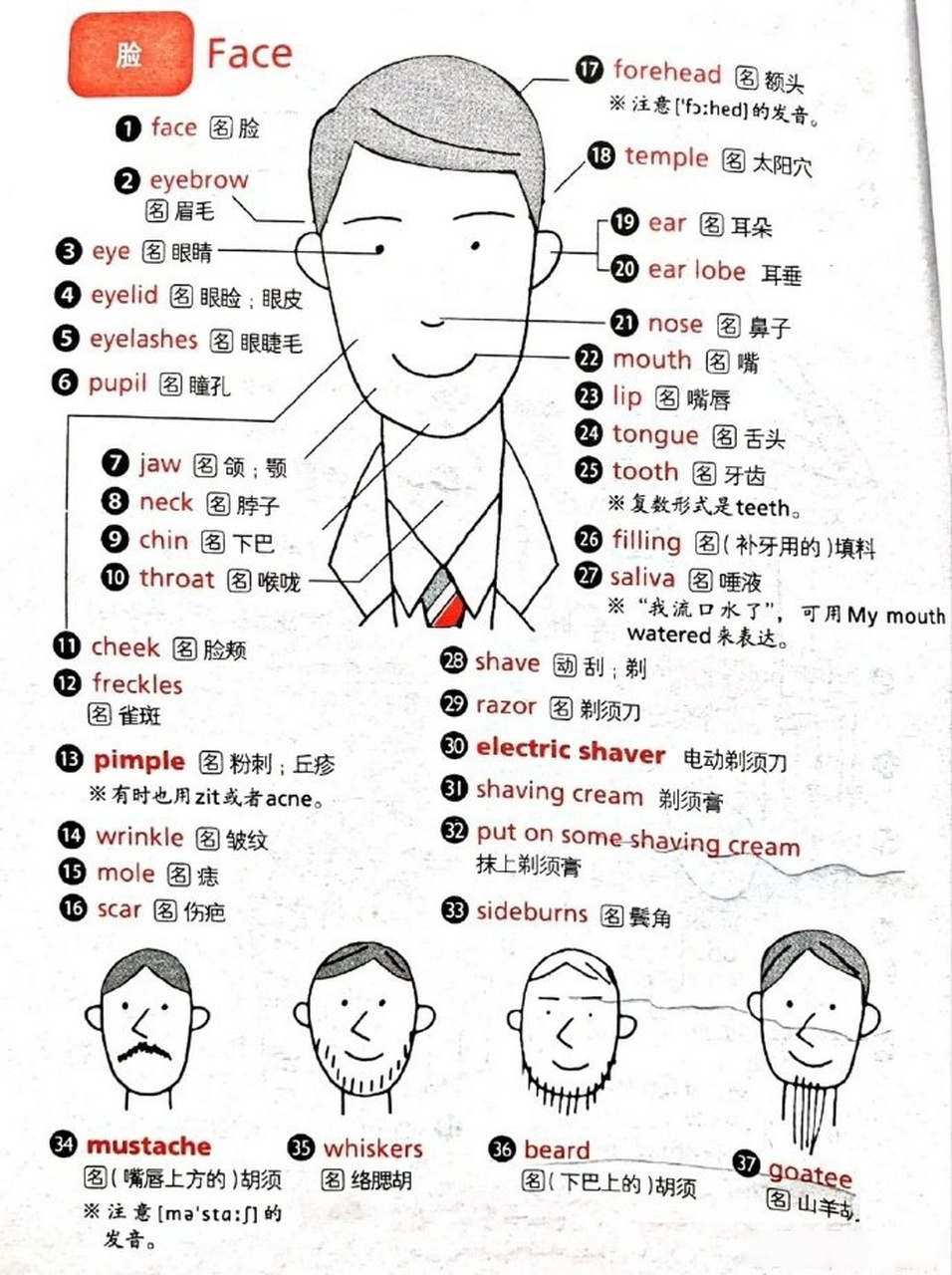 常用的脸部英语[并不简单]