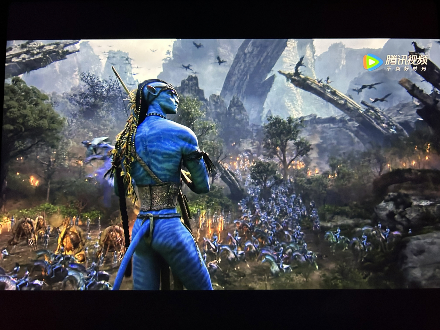 关于阿凡达突然想到一个问题: 纳威人都是用辫子和其他动物建立心灵