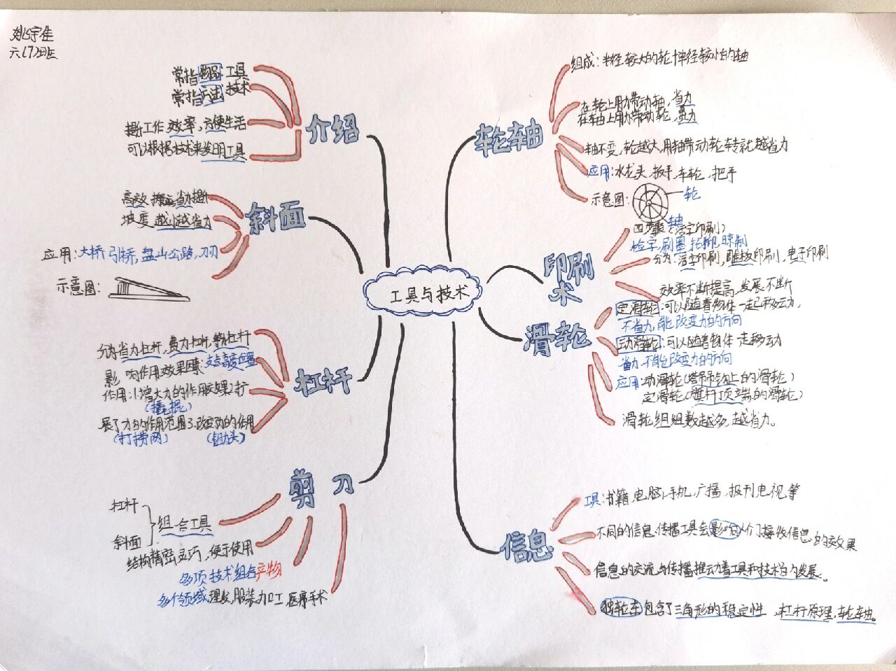 教科版科学六年级上册第三单元思维导图