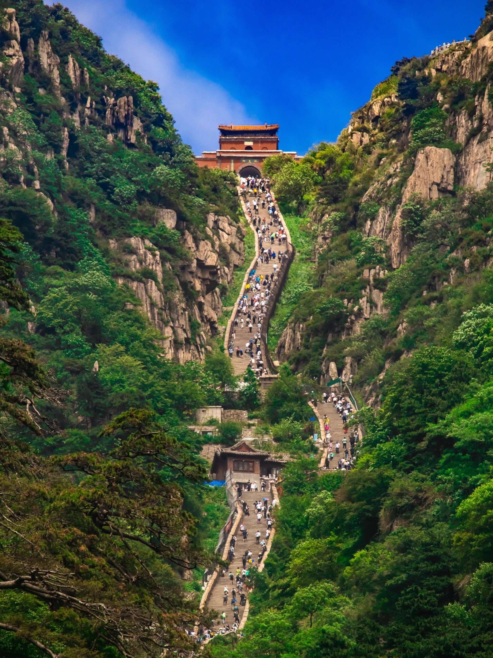 逃离无锡计划之极限31小时来回登顶泰山⛰️